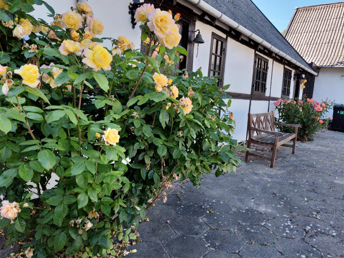 Dastrup Bed & Breakfast Viby Bagian luar foto